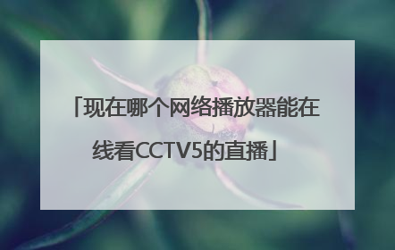 现在哪个网络播放器能在线看CCTV5的直播