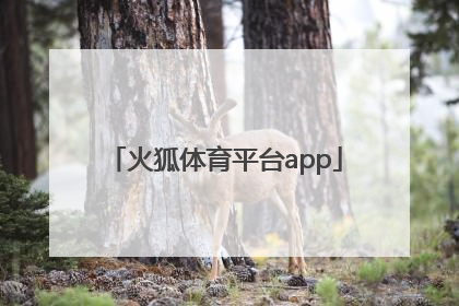 「火狐体育平台app」火狐体育平台app登录