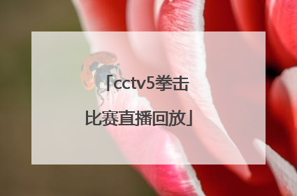 「cctv5拳击比赛直播回放」今日拳击比赛直播回放
